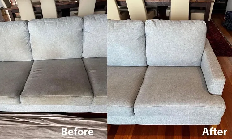 Professional Couch Cleaning Sydney