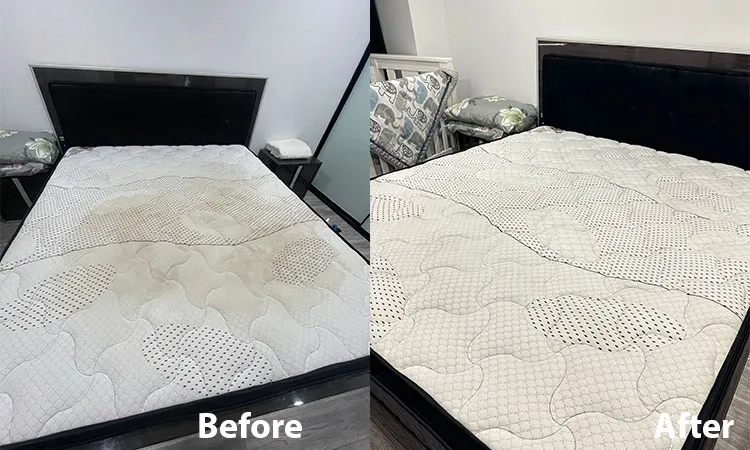 Professional Mattress Cleaning Sydney
